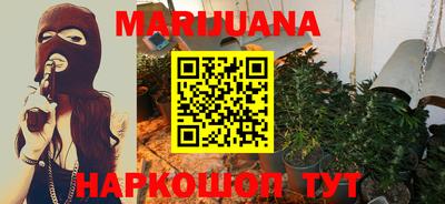 прущие грибы Бийск