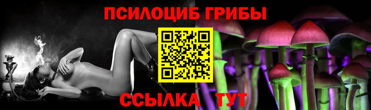 Псилоцибиновые грибы прущие грибы Кемерово